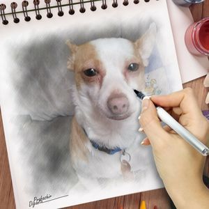 Meet your Posher, Dawn